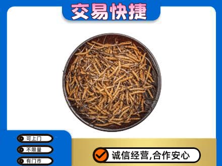 沧州东光县高价回收散虫草
